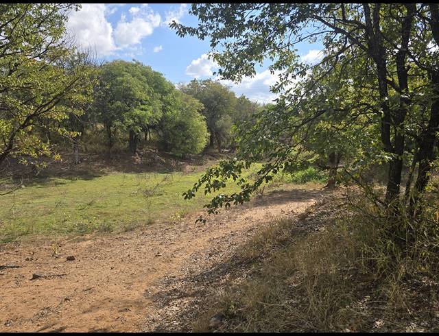 93HA FARM FOR SALE IN MOPANE